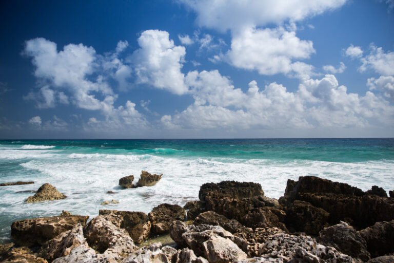 cel cozumel shoreline