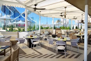 rooftop garden